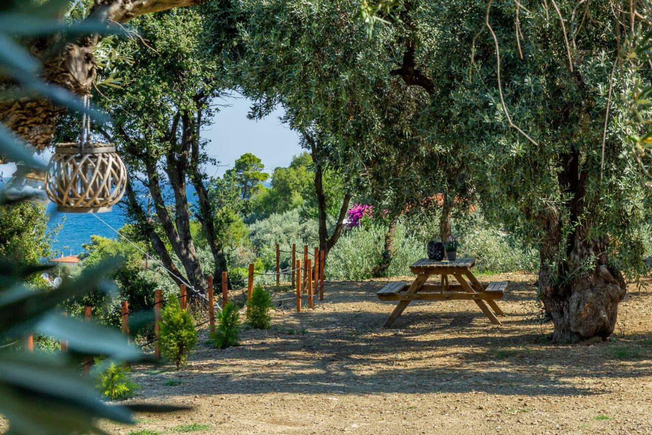 Olive Grove Apartment Skopelos Town Exterior foto